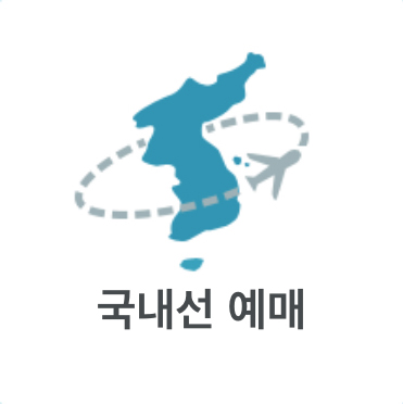 국내선 예매