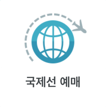국제선 예매